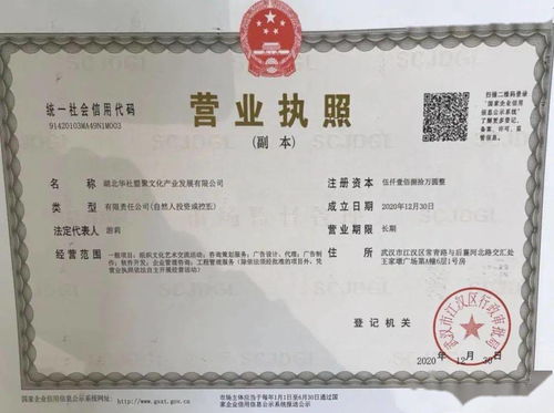 華社集團(tuán)簡介